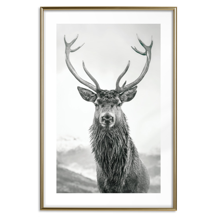 Wall Poster Lord of Autumn - black and white portrait of a deer against a background of sky and nature 130734 additionalImage 16