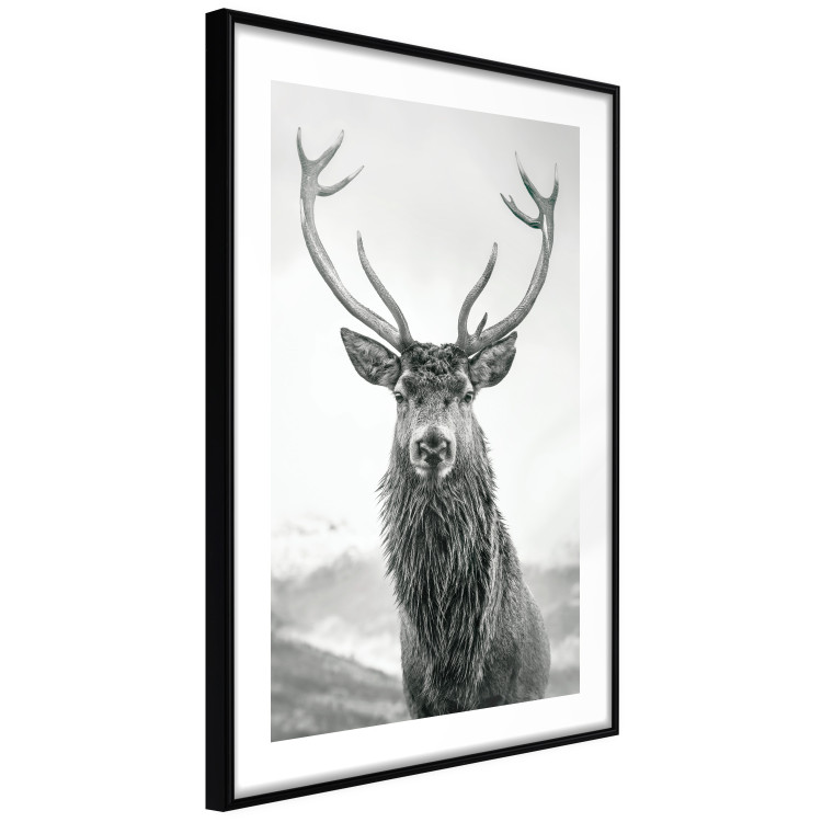 Wall Poster Lord of Autumn - black and white portrait of a deer against a background of sky and nature 130734 additionalImage 6