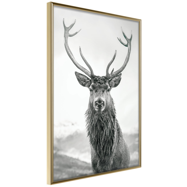 Wall Poster Lord of Autumn - black and white portrait of a deer against a background of sky and nature 130734 additionalImage 12