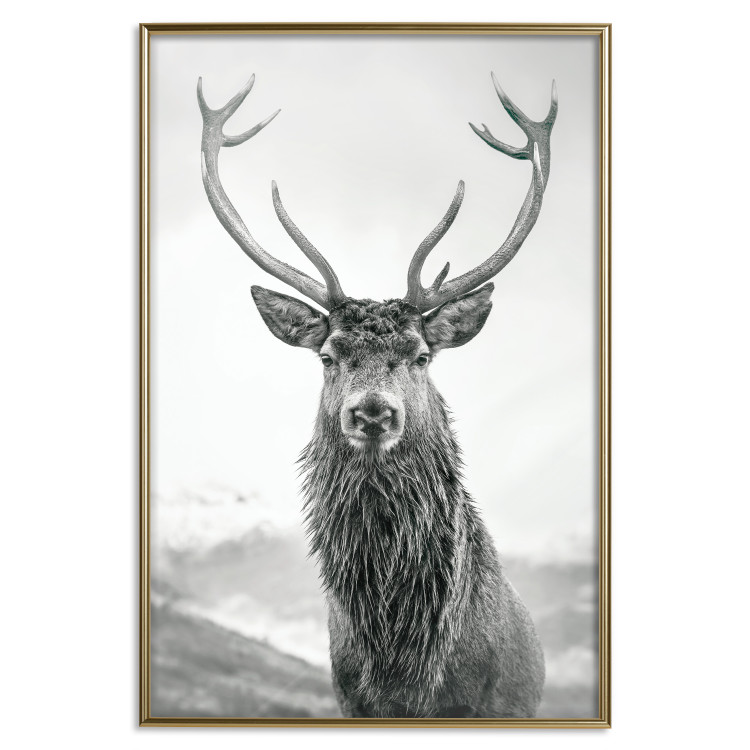 Wall Poster Lord of Autumn - black and white portrait of a deer against a background of sky and nature 130734 additionalImage 18