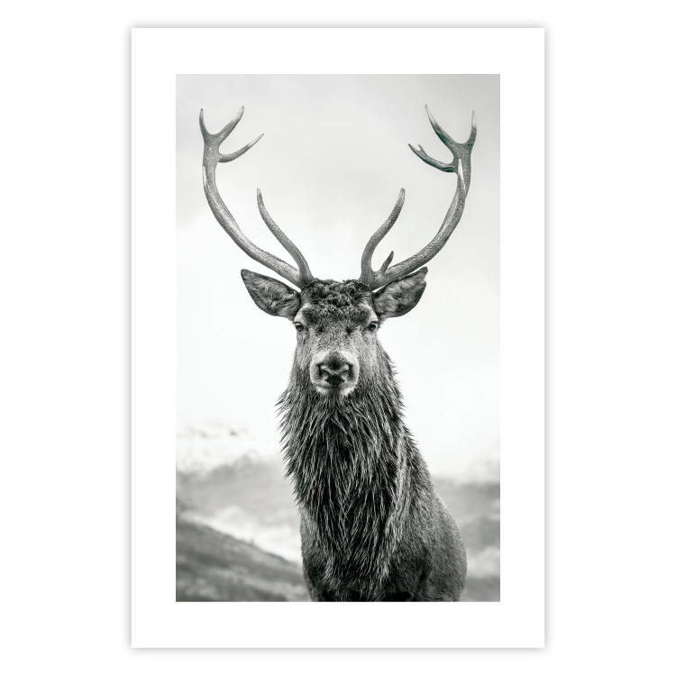 Wall Poster Lord of Autumn - black and white portrait of a deer against a background of sky and nature 130734 additionalImage 19