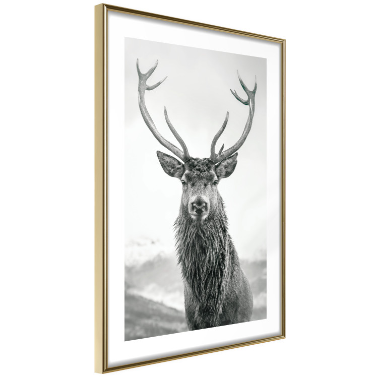Wall Poster Lord of Autumn - black and white portrait of a deer against a background of sky and nature 130734 additionalImage 7