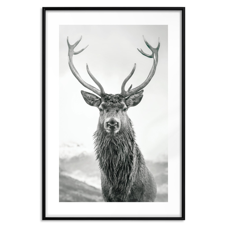 Wall Poster Lord of Autumn - black and white portrait of a deer against a background of sky and nature 130734 additionalImage 15