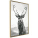 Picture wall Mighty deer 132343 additionalThumb 4