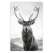 Wall Poster Lord of Autumn - black and white portrait of a deer against a background of sky and nature 130734