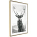 Wall Poster Lord of Autumn - black and white portrait of a deer against a background of sky and nature 130734 additionalThumb 7
