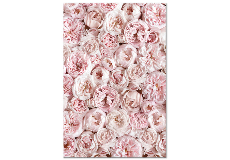 Canvas Art Print Rose Carpet - Carpet with pink flowers seen from above in pink color 135534