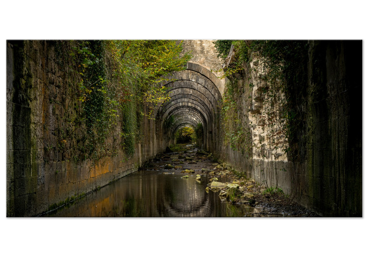 Canvas Print Tunnel in Orbaitzeta (1-piece) Wide - landscape with a floral motif 143234
