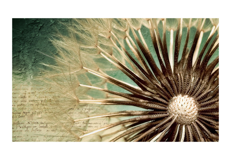 Photo Wallpaper Summer Story - Macro Shot of a Dandelion on a Decoupage-like Background 60334 additionalImage 1