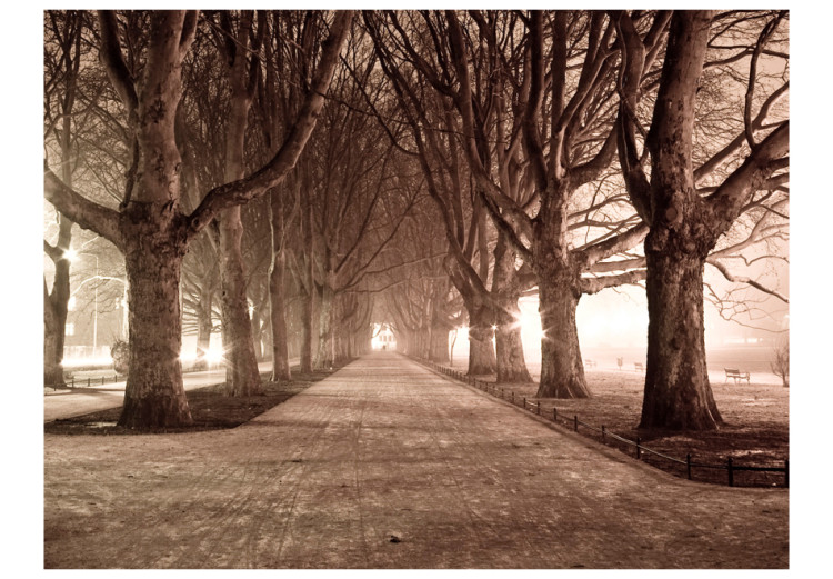 Photo Wallpaper Park Avenue - Landscape of a Tree-lined Road in Sepia Tones 60434 additionalImage 1