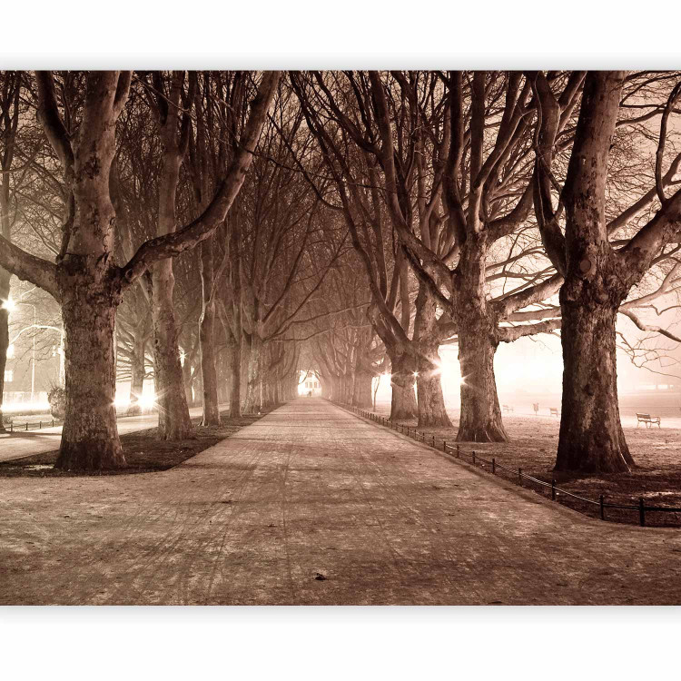 Photo Wallpaper Park Avenue - Landscape of a Tree-lined Road in Sepia Tones 60434 additionalImage 5