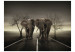 Photo Wallpaper City of elephants 61334 additionalThumb 1