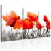 Canvas Print Meadow Full of Poppies (3-part) - Romantic Flowers in Nature's Grayscale 95934 additionalThumb 2