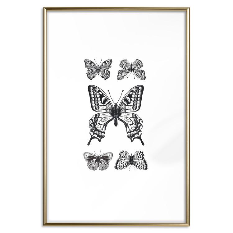 Wall Poster Five Butterflies - black and white composition with winged daytime insects 116944 additionalImage 14
