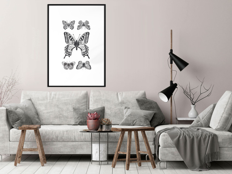 Wall Poster Five Butterflies - black and white composition with winged daytime insects 116944 additionalImage 4