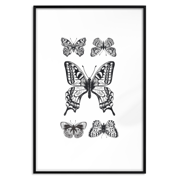 Wall Poster Five Butterflies - black and white composition with winged daytime insects 116944 additionalImage 24