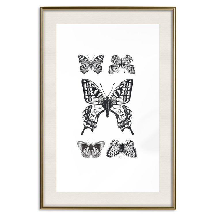 Wall Poster Five Butterflies - black and white composition with winged daytime insects 116944 additionalImage 19
