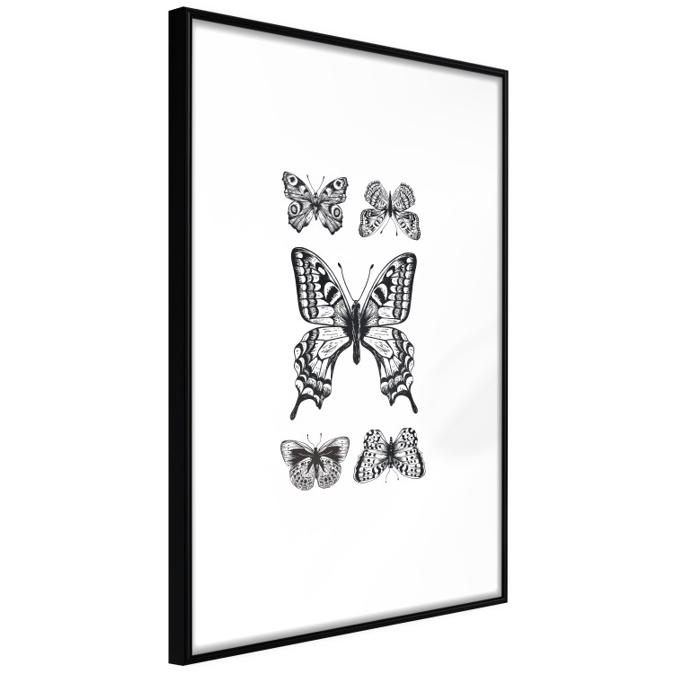 Wall Poster Five Butterflies - black and white composition with winged daytime insects 116944 additionalImage 6