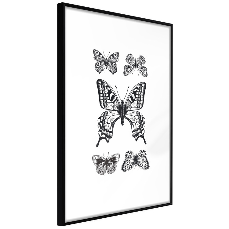 Wall Poster Five Butterflies - black and white composition with winged daytime insects 116944 additionalImage 11