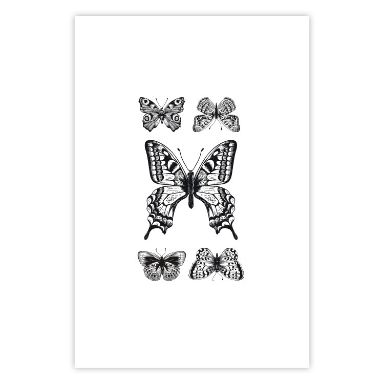 Wall Poster Five Butterflies - black and white composition with winged daytime insects 116944 additionalImage 25