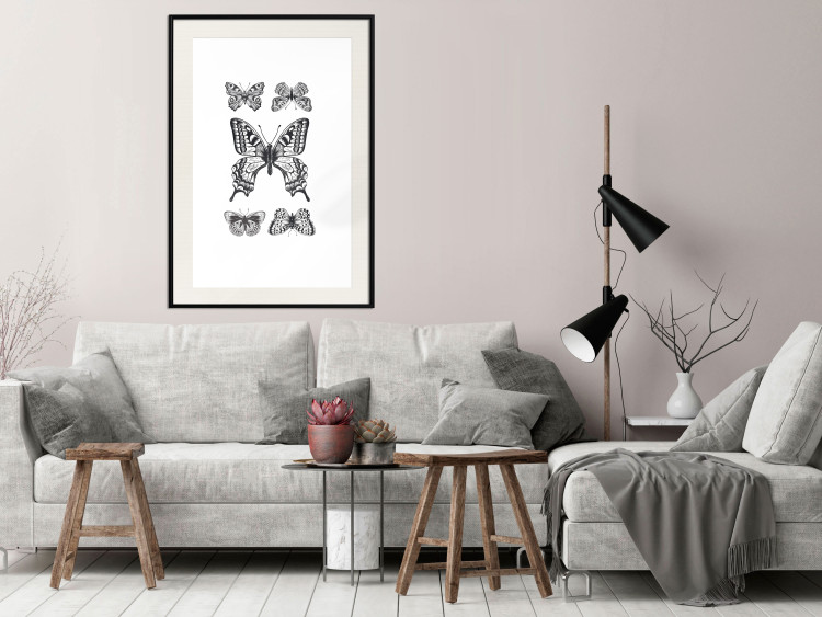 Wall Poster Five Butterflies - black and white composition with winged daytime insects 116944 additionalImage 22