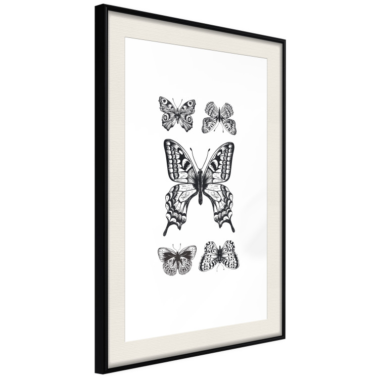 Wall Poster Five Butterflies - black and white composition with winged daytime insects 116944 additionalImage 2