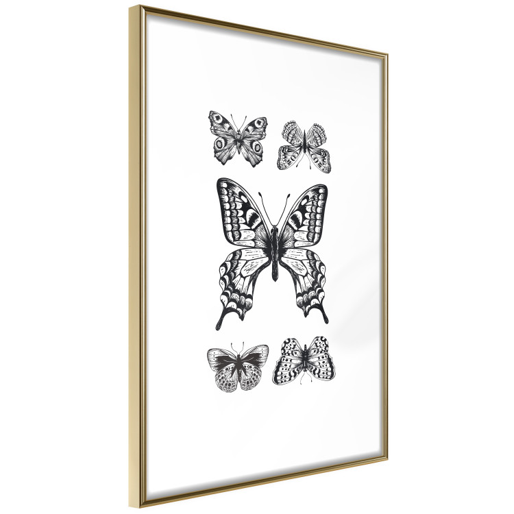 Wall Poster Five Butterflies - black and white composition with winged daytime insects 116944 additionalImage 10