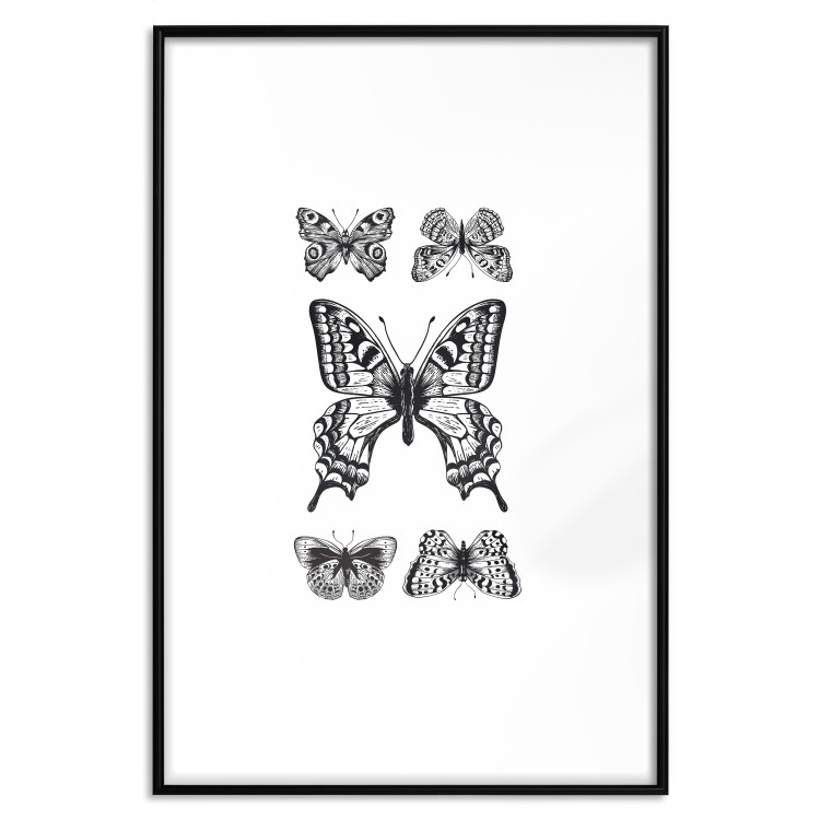Wall Poster Five Butterflies - black and white composition with winged daytime insects 116944 additionalImage 17