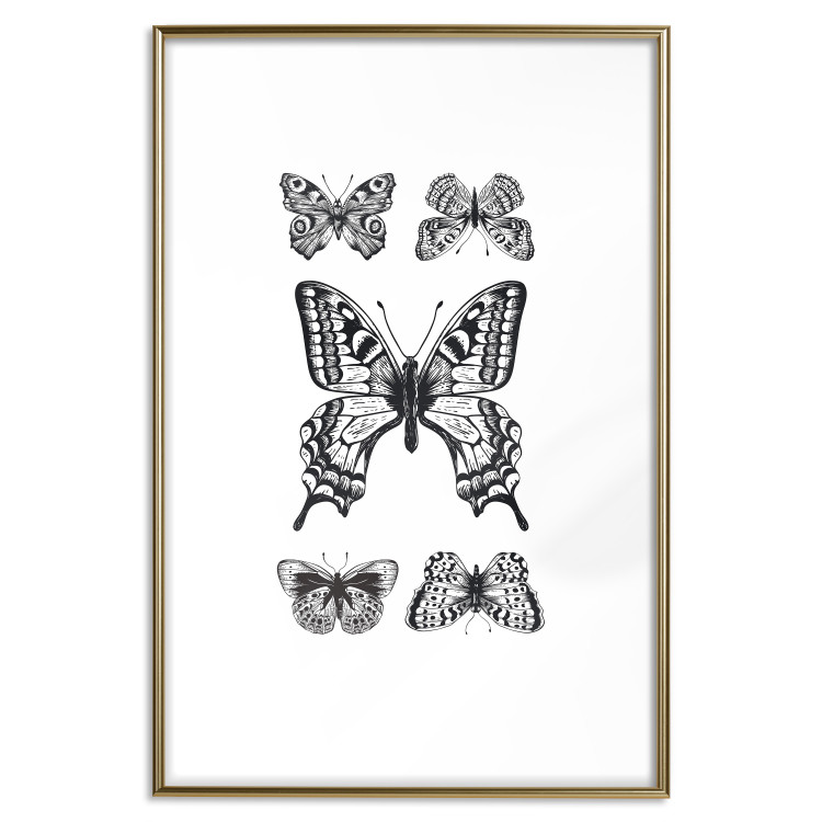 Wall Poster Five Butterflies - black and white composition with winged daytime insects 116944 additionalImage 16