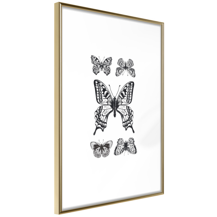 Wall Poster Five Butterflies - black and white composition with winged daytime insects 116944 additionalImage 7