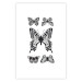 Wall Poster Five Butterflies - black and white composition with winged daytime insects 116944