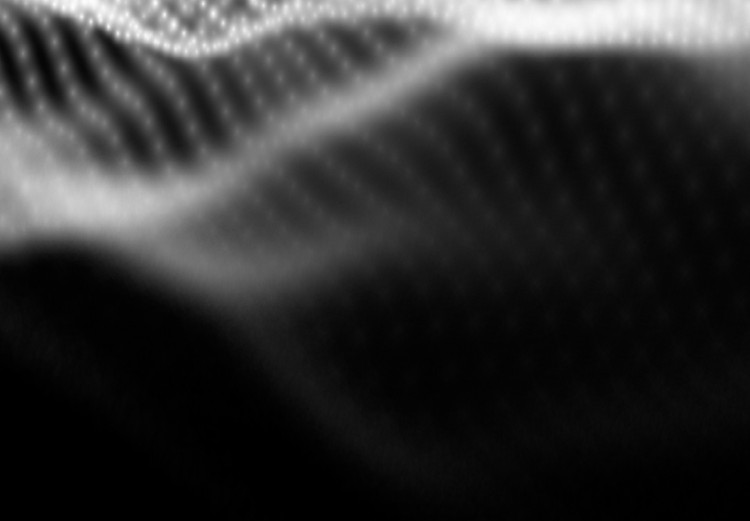 Poster Sound Stabilizer - simple black and white composition in musical waves 117344 additionalImage 10