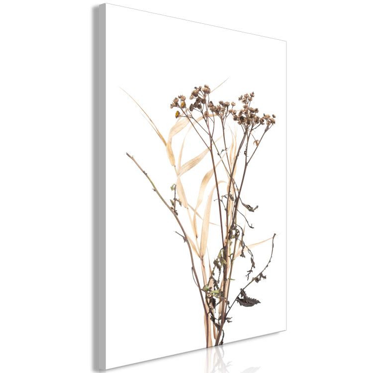 Canvas Art Print Camomile (1 Part) Vertical 119144 additionalImage 2