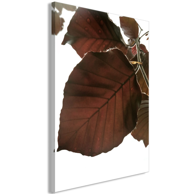 Canvas Autumn Elegance (1-part) - Tree Leaves in Brown Shades 122644 additionalImage 2