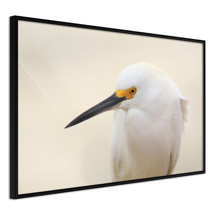 Wall Poster Snowy Egret - bird with a black beak and yellow face on a light background 129844 additionalImage 11