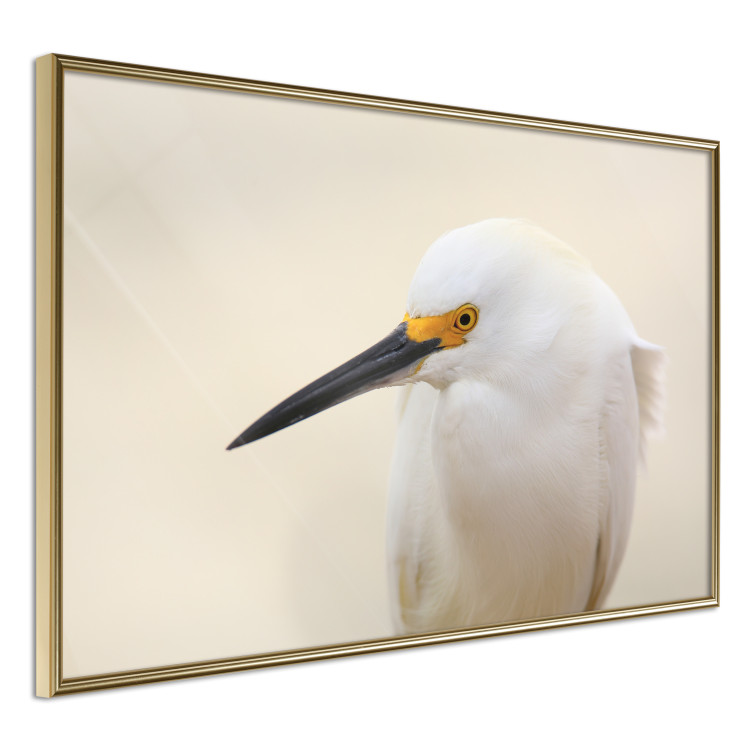 Wall Poster Snowy Egret - bird with a black beak and yellow face on a light background 129844 additionalImage 12
