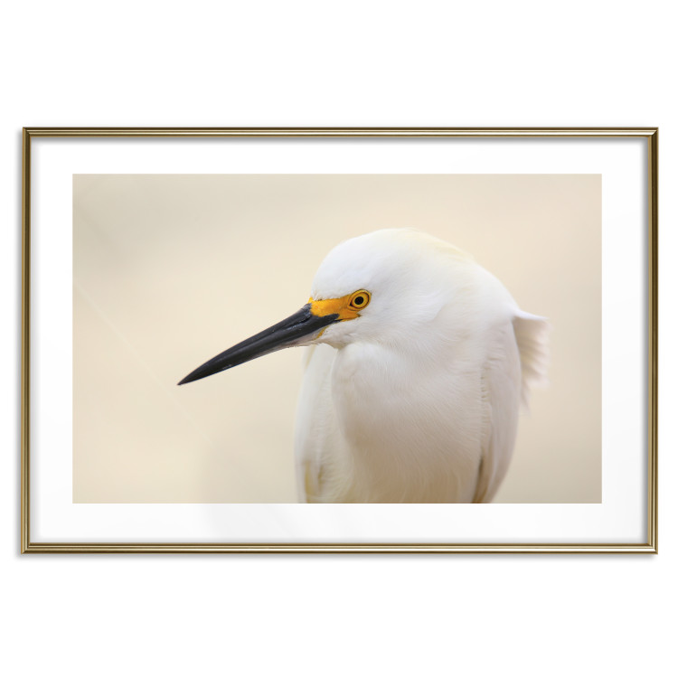 Wall Poster Snowy Egret - bird with a black beak and yellow face on a light background 129844 additionalImage 14