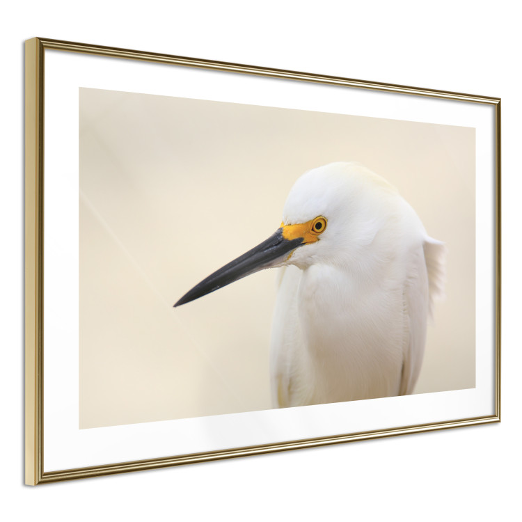 Wall Poster Snowy Egret - bird with a black beak and yellow face on a light background 129844 additionalImage 7