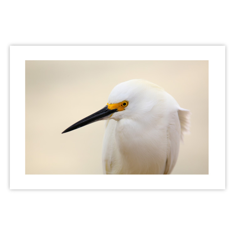 Wall Poster Snowy Egret - bird with a black beak and yellow face on a light background 129844 additionalImage 19