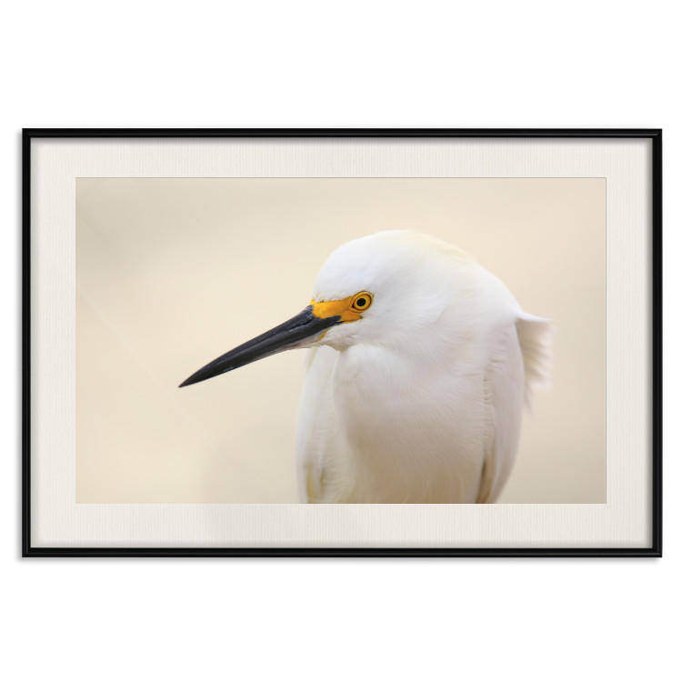 Wall Poster Snowy Egret - bird with a black beak and yellow face on a light background 129844 additionalImage 19