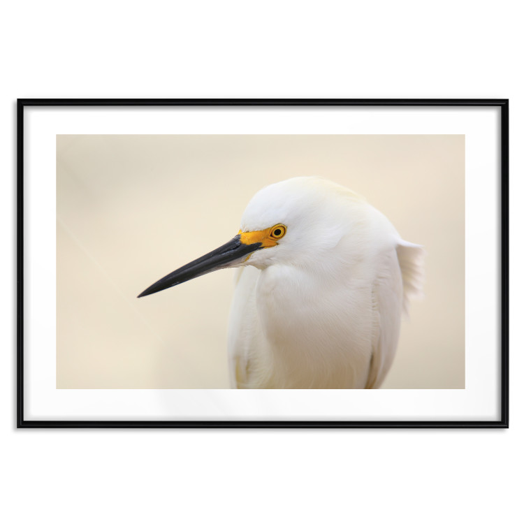 Wall Poster Snowy Egret - bird with a black beak and yellow face on a light background 129844 additionalImage 15