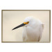 Wall Poster Snowy Egret - bird with a black beak and yellow face on a light background 129844 additionalThumb 17
