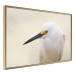 Wall Poster Snowy Egret - bird with a black beak and yellow face on a light background 129844 additionalThumb 12