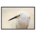 Wall Poster Snowy Egret - bird with a black beak and yellow face on a light background 129844 additionalThumb 16
