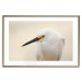 Wall Poster Snowy Egret - bird with a black beak and yellow face on a light background 129844 additionalThumb 14