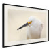 Wall Poster Snowy Egret - bird with a black beak and yellow face on a light background 129844 additionalThumb 2