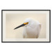 Wall Poster Snowy Egret - bird with a black beak and yellow face on a light background 129844 additionalThumb 19