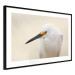 Wall Poster Snowy Egret - bird with a black beak and yellow face on a light background 129844 additionalThumb 6