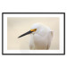 Wall Poster Snowy Egret - bird with a black beak and yellow face on a light background 129844 additionalThumb 15