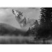 Photo Wallpaper Forest landscape - black and white wolf in a misty forest next to a lake 135144 additionalThumb 5